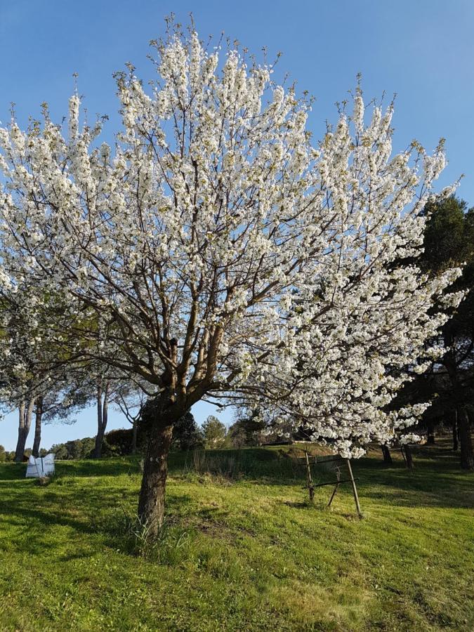 Les 3 Hirondelles